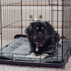 K&H Pet Products Self-Warming Pad 15 K&H Pet Products Self-Warming Pad -PetSafe Kong Shop 100549 PT6. AC SS1800 V1614706884