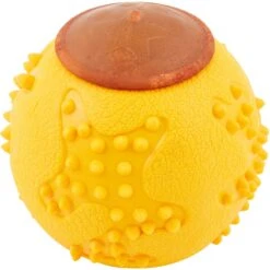 Starmark RubberTuff Treat Ball Tough Dog Chew Toy
