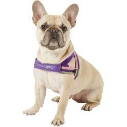 EzyDog Quick Fit Dog Harness 11 EzyDog Quick Fit Dog Harness -PetSafe Kong Shop 100990 PT2. AC SS1800 V1569514681