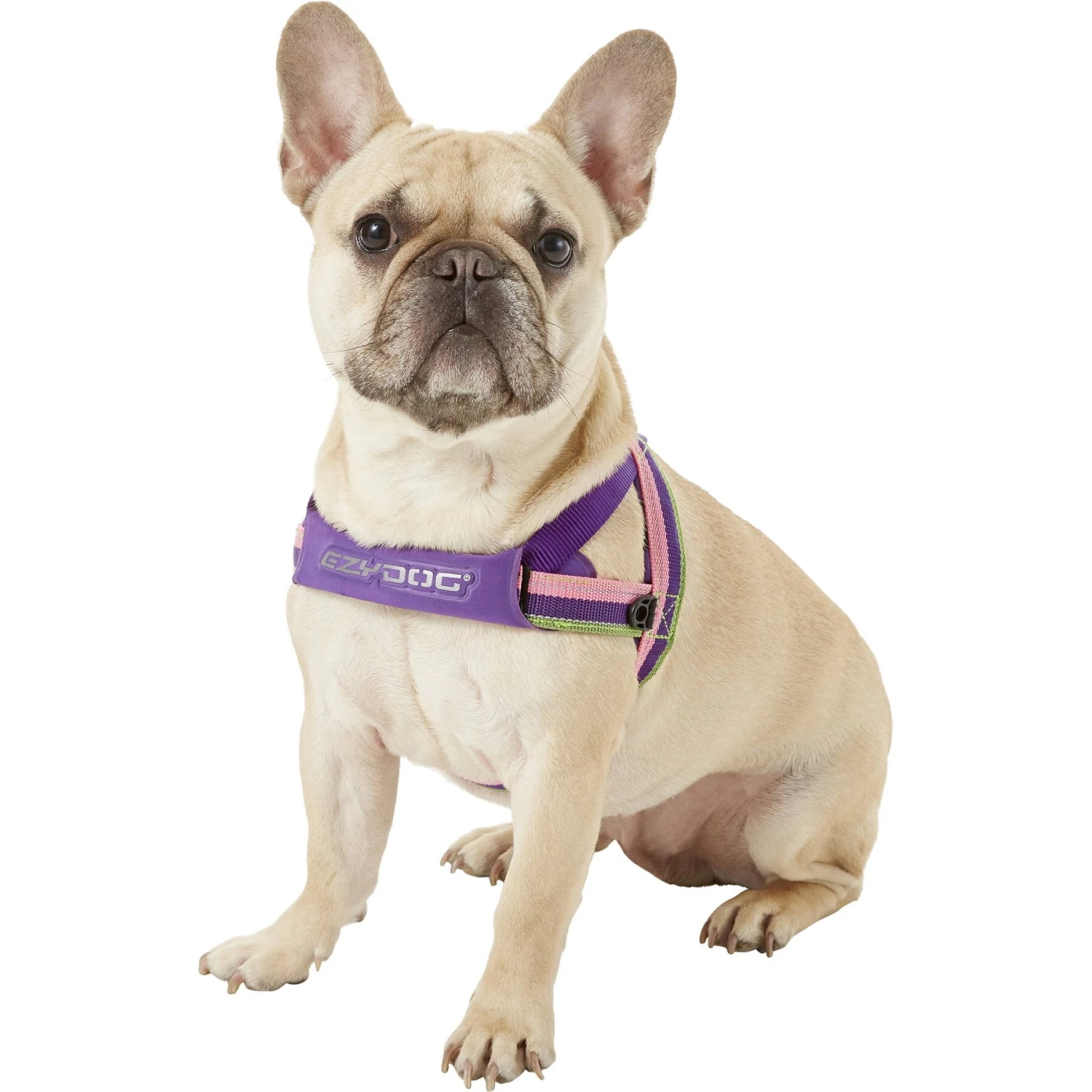 EzyDog Quick Fit Dog Harness 3 EzyDog Quick Fit Dog Harness - Image 3