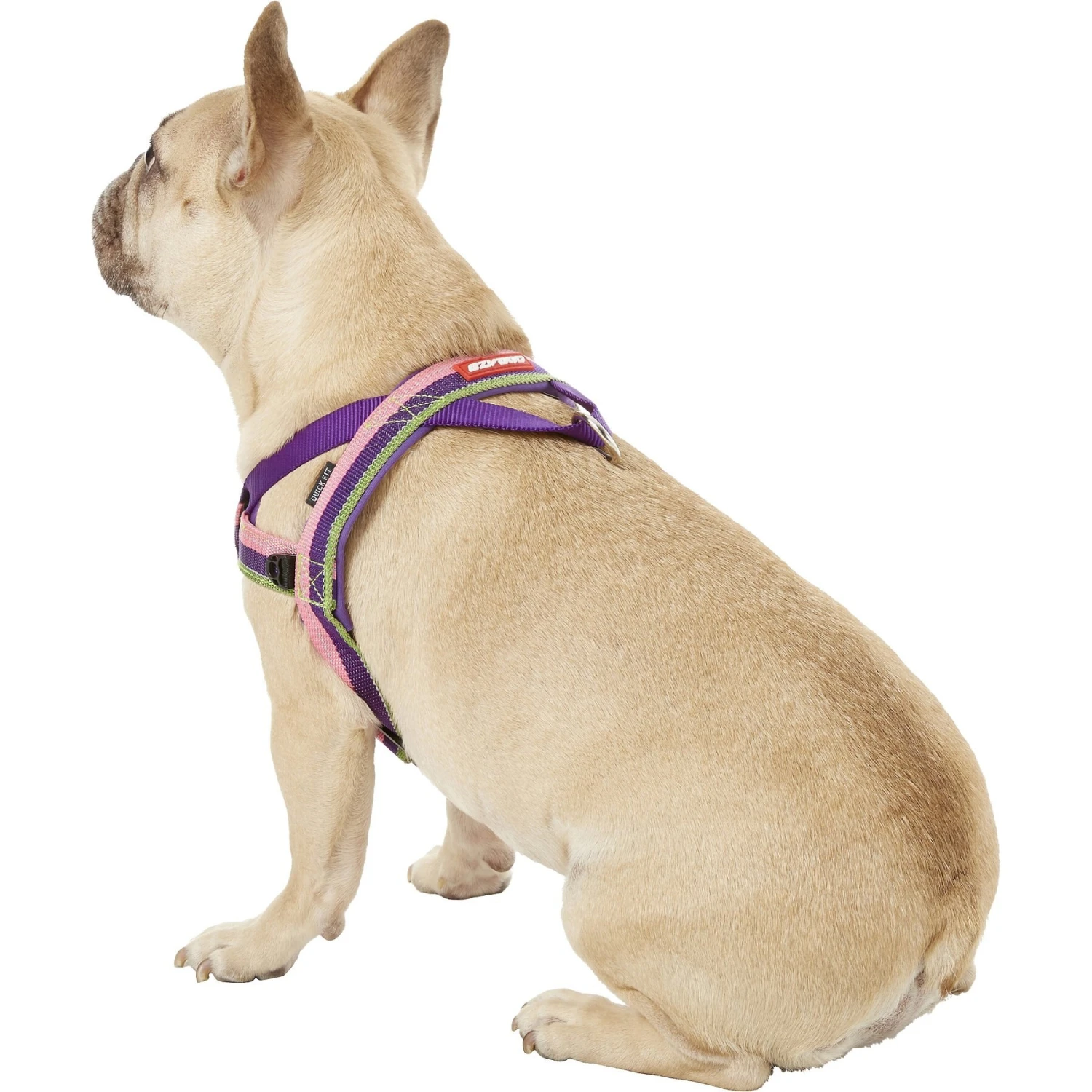 EzyDog Quick Fit Dog Harness 4 EzyDog Quick Fit Dog Harness - Image 4