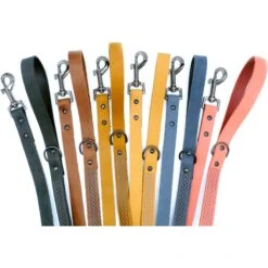 Euro-Dog Celtic Sport Leather Dog Leash, Large: 6-ft Long, 3/4-in Wide -PetSafe Kong Shop 1014358 PT2. AC SS1800 V1700681380