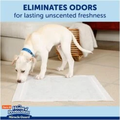 Hartz Home Protection Miracle Guard Dog Potty Pads, Regular, 25 Count -PetSafe Kong Shop 1016878 PT4. AC SS1800 V1700861458