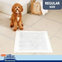 Hartz Home Protection Miracle Guard Dog Potty Pads, Regular, 25 Count -PetSafe Kong Shop 1016878 PT5. AC SS1800 V1700861453