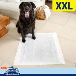 Hartz Home Protection Miracle Guard Dog Potty Pads, XX-Large, 20 Count -PetSafe Kong Shop 1016886 PT5. AC SS1800 V1700861449