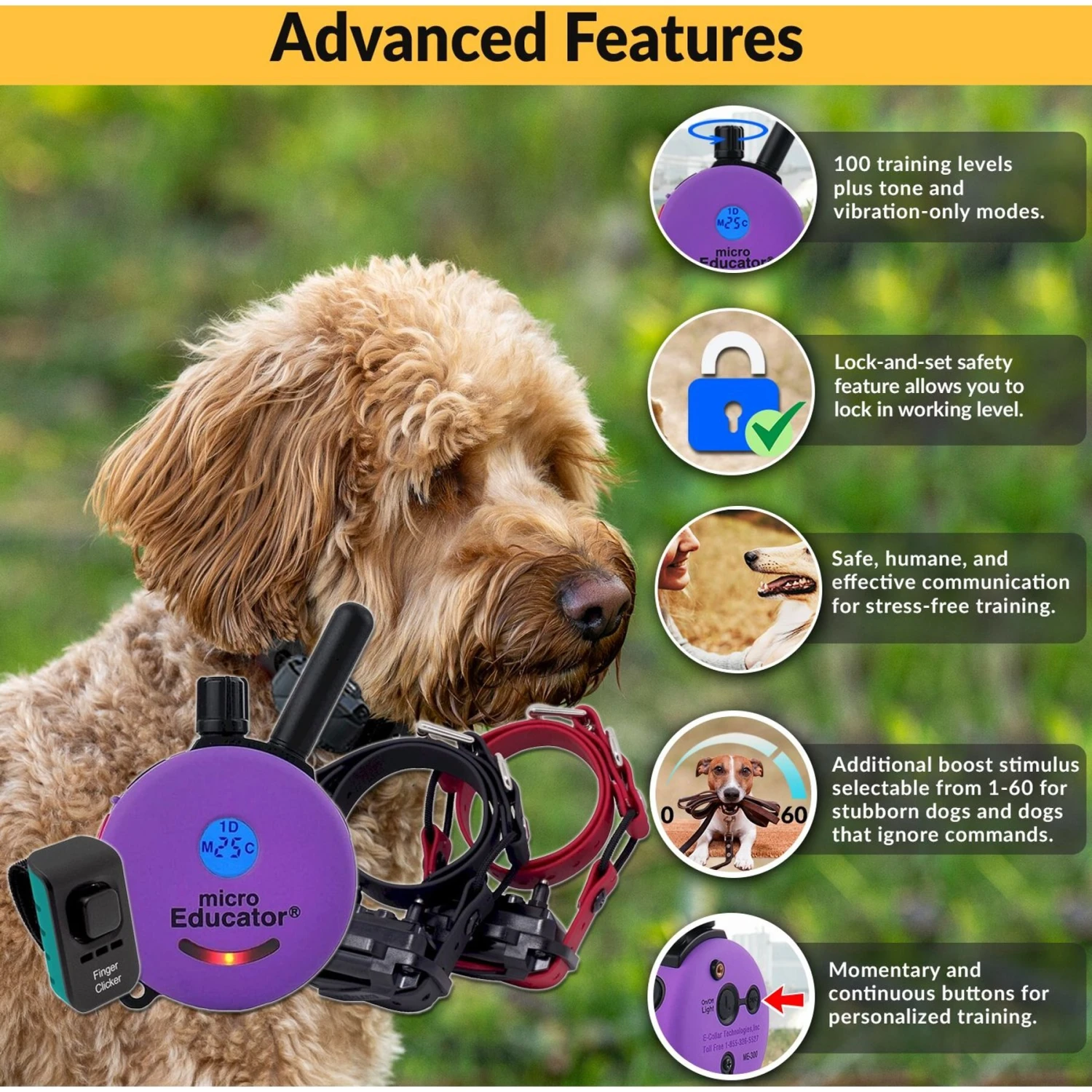 Educator ME-302-DMBC E-Collar Mini Double Bungee Dog Training Collar Set, Purple, X-Small 2 Educator ME-302-DMBC E-Collar Mini Double Bungee Dog Training Collar Set, Purple, X-Small - Image 2