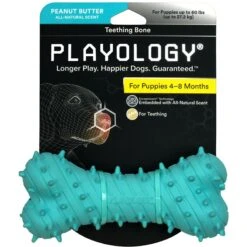 Playology Puppy Teething Bone Peanut Butter Dog Toy, Blue, Large -PetSafe Kong Shop 1022366 PT1. AC SS1800 V1700851284