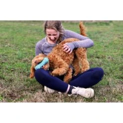 Playology Puppy Teething Bone Peanut Butter Dog Toy, Blue, Large -PetSafe Kong Shop 1022366 PT5. AC SS1800 V1700851288