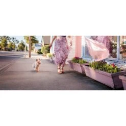 Wigzi Nylon Reflective Retractable Gel Dog Leash -PetSafe Kong Shop 102256 PT5. AC SS1800 V1581364378