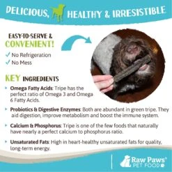 Raw Paws Green Lamb Tripe 6-in Sticks Dog Chews, 10 Count -PetSafe Kong Shop 1022574 PT4. AC SS1800 V1702511111