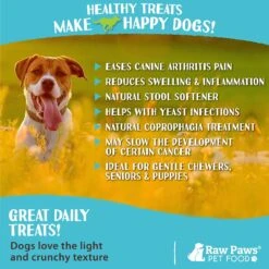 Raw Paws Green Lamb Tripe 6-in Sticks Dog Chews, 10 Count -PetSafe Kong Shop 1022574 PT5. AC SS1800 V1702511273