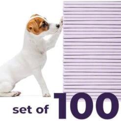 Green Lifestyle Disposable Lavender Scented Dog & Cat Pee Pads, 100 Count 9 Green Lifestyle Disposable Lavender Scented Dog & Cat Pee Pads, 100 Count -PetSafe Kong Shop 1023422 PT2. AC SS1800 V1700886269