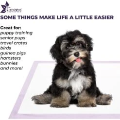 Green Lifestyle Disposable Lavender Scented Dog & Cat Pee Pads, 100 Count 10 Green Lifestyle Disposable Lavender Scented Dog & Cat Pee Pads, 100 Count -PetSafe Kong Shop 1023422 PT3. AC SS1800 V1700886271