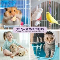 Green Lifestyle Disposable Lavender Scented Dog & Cat Pee Pads, 100 Count 12 Green Lifestyle Disposable Lavender Scented Dog & Cat Pee Pads, 100 Count -PetSafe Kong Shop 1023422 PT5. AC SS1800 V1700886271