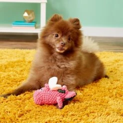 GoDog Just For Me Chew Guard Flying Pig Squeaky Plush Dog Toy 8 GoDog Just For Me Chew Guard Flying Pig Squeaky Plush Dog Toy -PetSafe Kong Shop 102561 PT3. AC SS1800 V1530914179