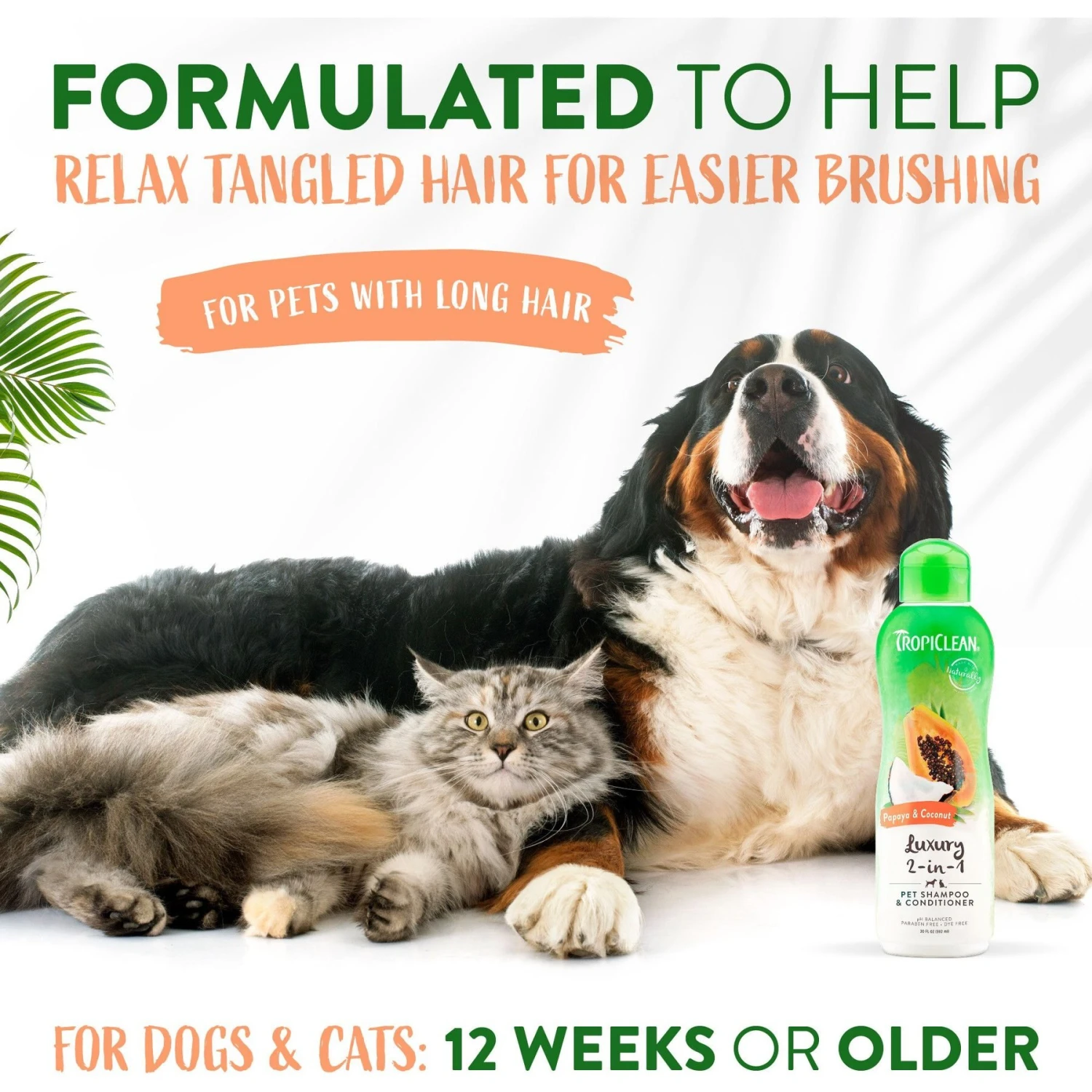 TropiClean Luxury 2 In 1 Papaya & Coconut Pet Shampoo & Conditioner & TropiClean Papaya Deodorizing Dog & Cat Spray 4 TropiClean Luxury 2 In 1 Papaya & Coconut Pet Shampoo & Conditioner & TropiClean Papaya Deodorizing Dog & Cat Spray - Image 4