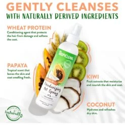 TropiClean Luxury 2 In 1 Papaya & Coconut Pet Shampoo & Conditioner & TropiClean Papaya Deodorizing Dog & Cat Spray 15 TropiClean Luxury 2 In 1 Papaya & Coconut Pet Shampoo & Conditioner & TropiClean Papaya Deodorizing Dog & Cat Spray -PetSafe Kong Shop 1030198 PT6. AC SS1800 V1702674116