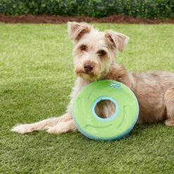 Chuckit! Zipflight Disc Dog Toy, Color Varies & Chuckit! Paraflight Dog Toy -PetSafe Kong Shop 1030662 PT4. AC SS1800 V1702598511