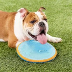 Chuckit! Zipflight Disc Dog Toy, Color Varies & Chuckit! Paraflight Dog Toy -PetSafe Kong Shop 1030662 PT8. AC SS1800 V1702598512