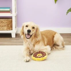 ZippyPaws Donutz Squeaky Plush No Stuffing Dog Toy -PetSafe Kong Shop 104035 PT7. AC SS1800 V1523637318