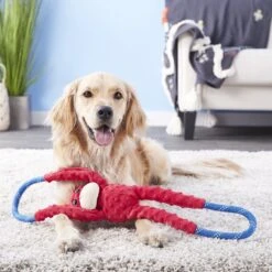 ZippyPaws Monkey RopeTugz Plush & Rope Dog Toy -PetSafe Kong Shop 104052 PT7. AC SS1800 V1523637375