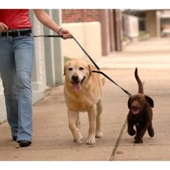 Sporn Nylon Double Dog Leash 7 Sporn Nylon Double Dog Leash -PetSafe Kong Shop 104317 PT2. AC SS1800 V1522775674