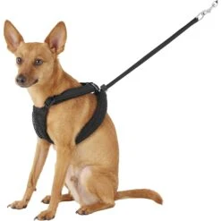 Sporn Mesh No Pull Dog Harness -PetSafe Kong Shop 104333 PT2. AC SS1800 V1575414264