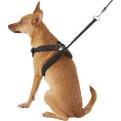 Sporn Mesh No Pull Dog Harness -PetSafe Kong Shop 104333 PT3. AC SS1800 V1575419044