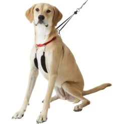 Sporn Training Halter Nylon No Pull Dog Harness -PetSafe Kong Shop 104371 PT2. AC SS1800 V1575414298
