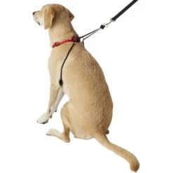 Sporn Training Halter Nylon No Pull Dog Harness -PetSafe Kong Shop 104371 PT3. AC SS1800 V1575419004