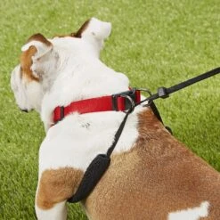 Sporn Training Halter Nylon No Pull Dog Harness -PetSafe Kong Shop 104371 PT6. AC SS1800 V1575916456