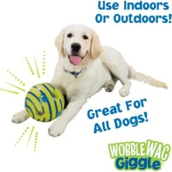 As Seen On TV Wobble Wag Giggle Ball Dog Toy 14 As Seen On TV Wobble Wag Giggle Ball Dog Toy -PetSafe Kong Shop 104397 PT5. AC SS1800 V1537196816