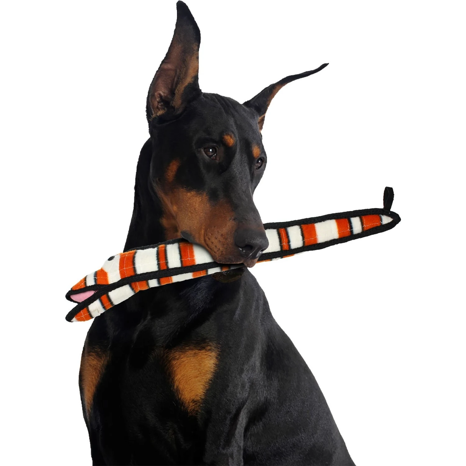 Tuffy's Ocean Creatures Neelmo Squeaky Plush Dog Toy 3 Tuffy's Ocean Creatures Neelmo Squeaky Plush Dog Toy - Image 3