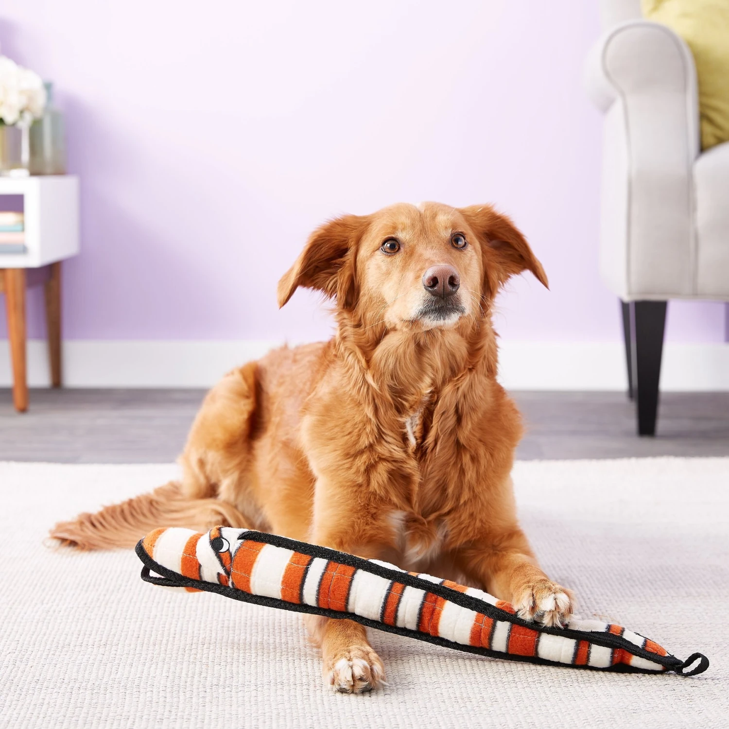 Tuffy's Ocean Creatures Neelmo Squeaky Plush Dog Toy 4 Tuffy's Ocean Creatures Neelmo Squeaky Plush Dog Toy - Image 4