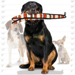 Tuffy's Ocean Creatures Neelmo Squeaky Plush Dog Toy 10 Tuffy's Ocean Creatures Neelmo Squeaky Plush Dog Toy -PetSafe Kong Shop 104650 PT4. AC SS1800 V1589561524