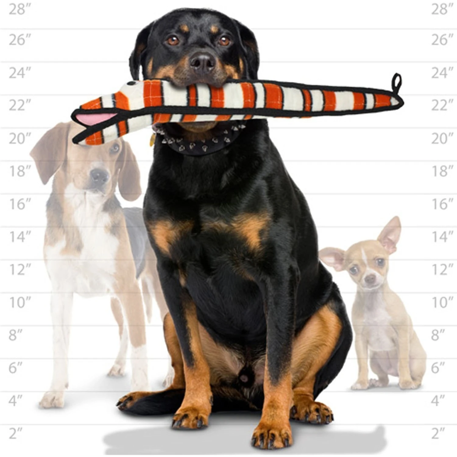 Tuffy's Ocean Creatures Neelmo Squeaky Plush Dog Toy 5 Tuffy's Ocean Creatures Neelmo Squeaky Plush Dog Toy - Image 5