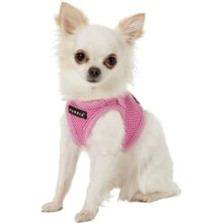 Puppia Vest Polyester Step In Back Clip Dog Harness -PetSafe Kong Shop 104772 PT2. AC SS1800 V1569516782