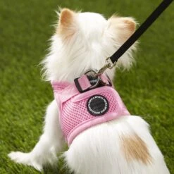 Puppia Vest Polyester Step In Back Clip Dog Harness -PetSafe Kong Shop 104772 PT4. AC SS1800 V1569516796