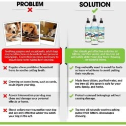 Particular Paws Anti-Chew Bitter Spray For Dogs 12 Particular Paws Anti-Chew Bitter Spray For Dogs -PetSafe Kong Shop 104814 PT5. AC SS1800 V1581522776