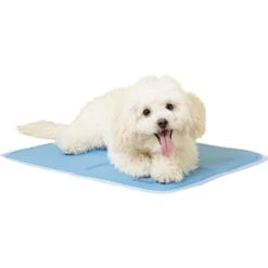 The Green Pet Shop Cool Pet Pad Cover For Cool Pet Pad -PetSafe Kong Shop 105753 PT3. AC SS1800 V1567527729
