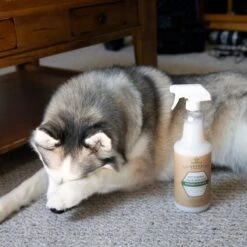 TriNova Pet Stain & Odor Remover -PetSafe Kong Shop 106437 PT4. AC SS1800 V1605757008