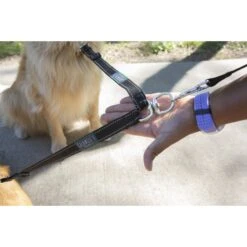 Caldwell's Original Two Dog Leash Coupler -PetSafe Kong Shop 106444 PT2. AC SS1800 V1634567560