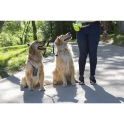 Caldwell's Original Two Dog Leash Coupler -PetSafe Kong Shop 106444 PT3. AC SS1800 V1634566624