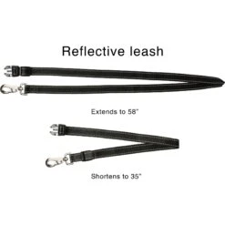 Caldwell's Original Running Leash -PetSafe Kong Shop 106446 PT3. AC SS1800 V1515434785