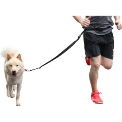 Caldwell's Original Running Leash -PetSafe Kong Shop 106446 PT5. AC SS1800 V1476899267