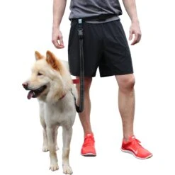 Caldwell's Original Running Leash -PetSafe Kong Shop 106446 PT6. AC SS1800 V1476899270