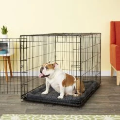 American Kennel Club AKC Dog Crate Mat 7 American Kennel Club AKC Dog Crate Mat -PetSafe Kong Shop 106527 PT2. AC SS1800 V1542233927