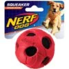 Nerf Dog Squeaker Ball Dog Toy