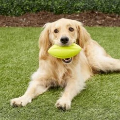 Nerf Dog Squeaker Football Dog Toy -PetSafe Kong Shop 106708 PT1. AC SS1800 V1545242824