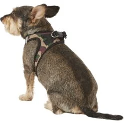 Best Pet Supplies Voyager Army Base Mesh Dog Harness -PetSafe Kong Shop 107042 PT5. AC SS1800 V1575470294